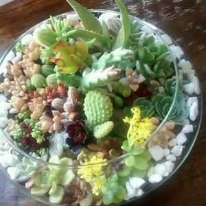 Meet your Posher, Antonia